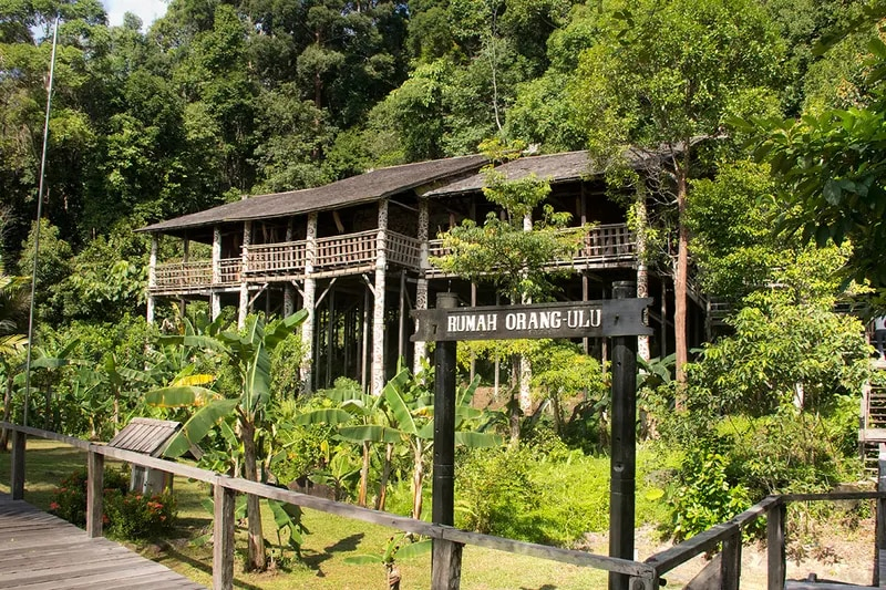 Sarawak Cultural Village and Semenggoh Wildlife Centre Tour in Kuching xY53jTm9