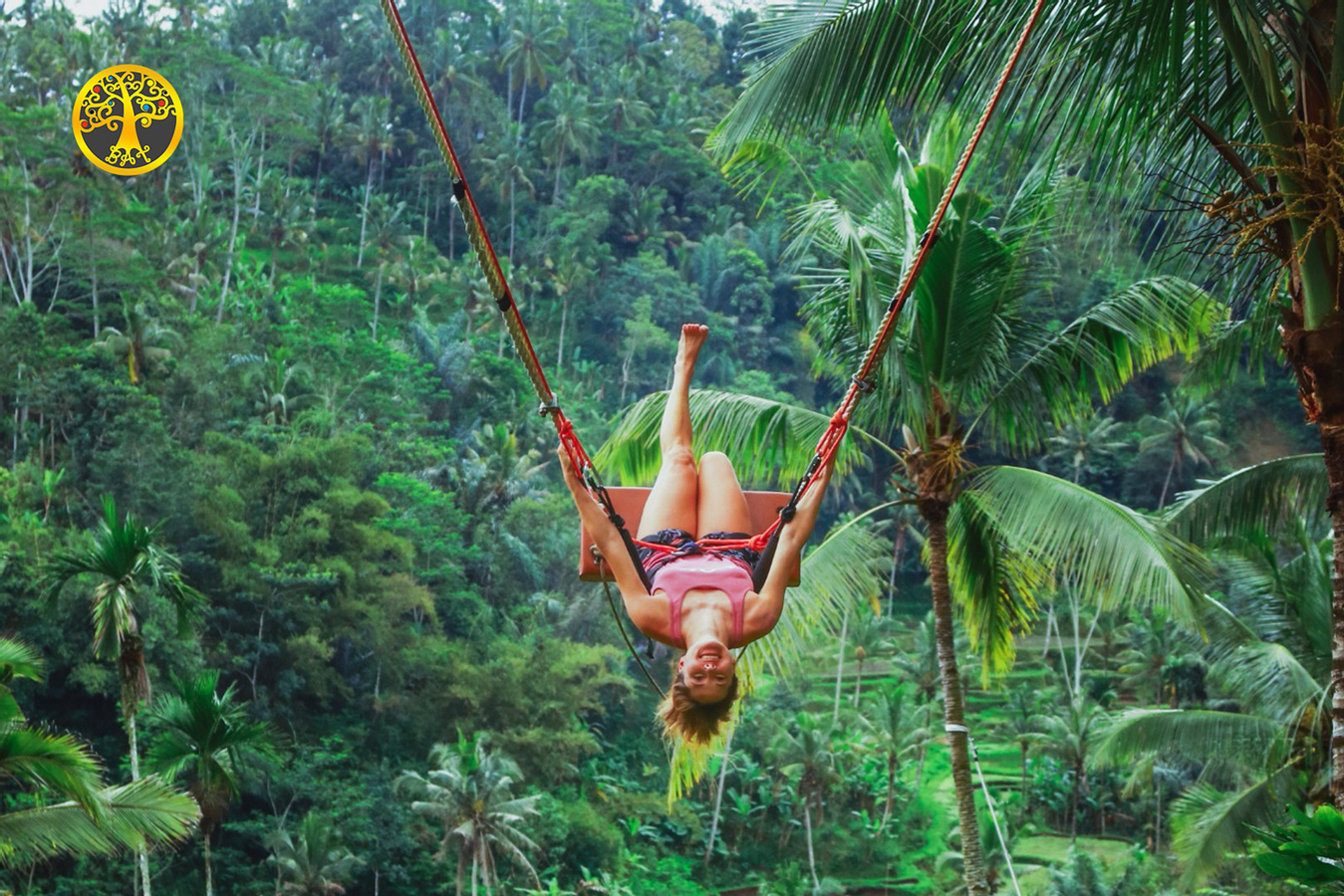 Bali Holy Bath and Jungle Swing Private Day Trip XLSC8vJB