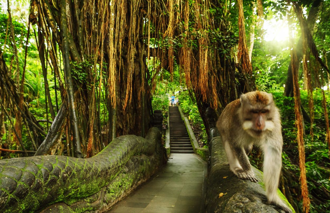 Eastern Bali's Best Waterfalls Private Day Tour in Bali MQOYZx74