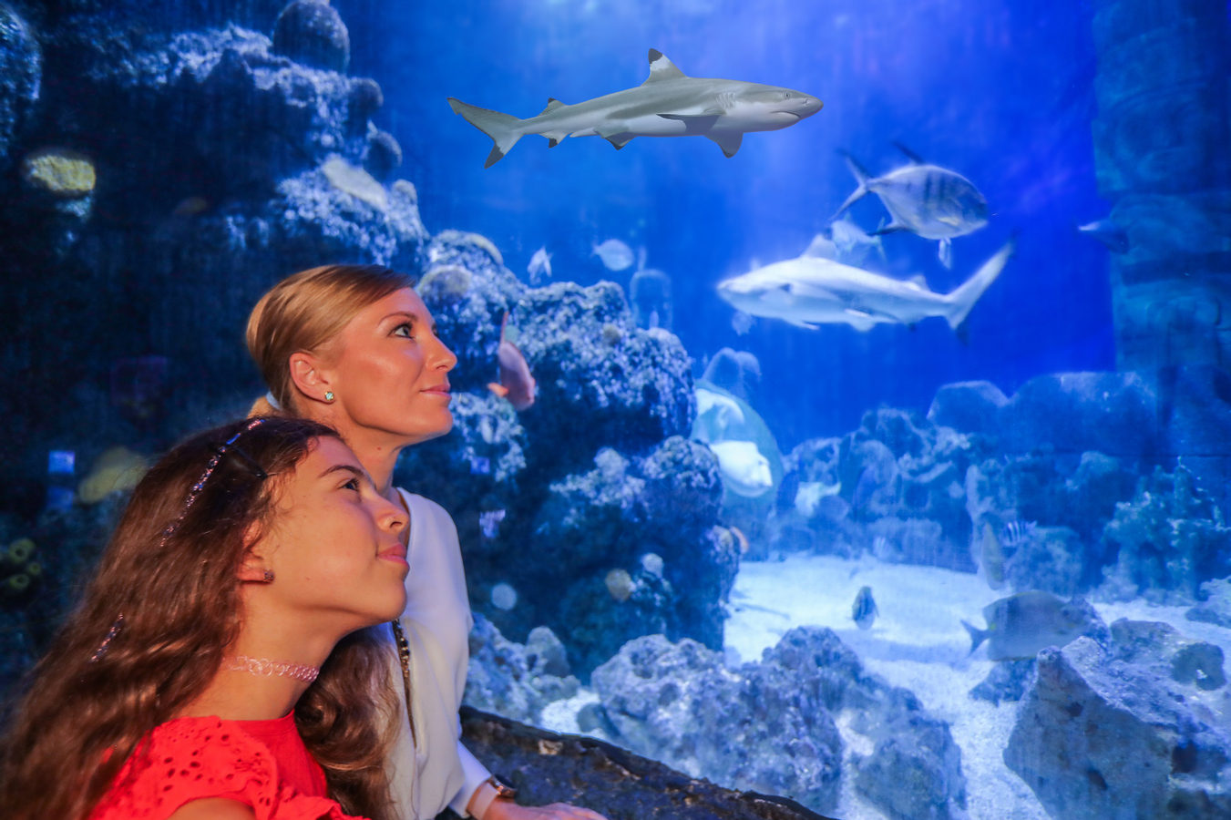 SEA LIFE Munich Admission Ticket CCLR960d