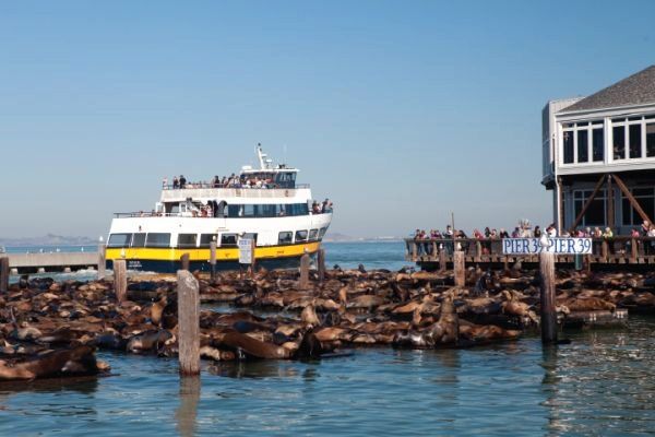 San Francisco Bus and Boat Adventure Day Tour kZsMRhWd