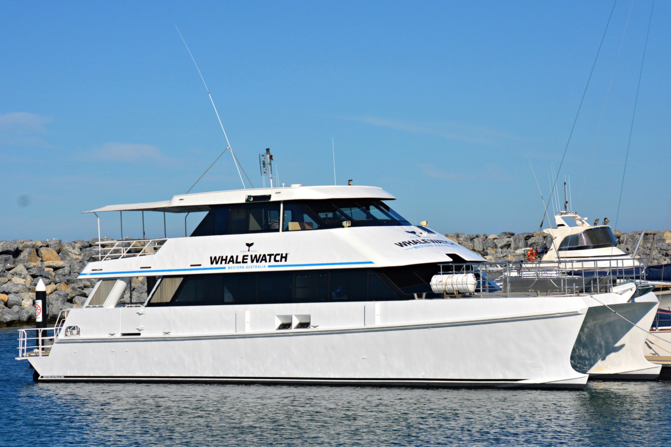 Whale Watching Experience from Perth MPAGTF5E