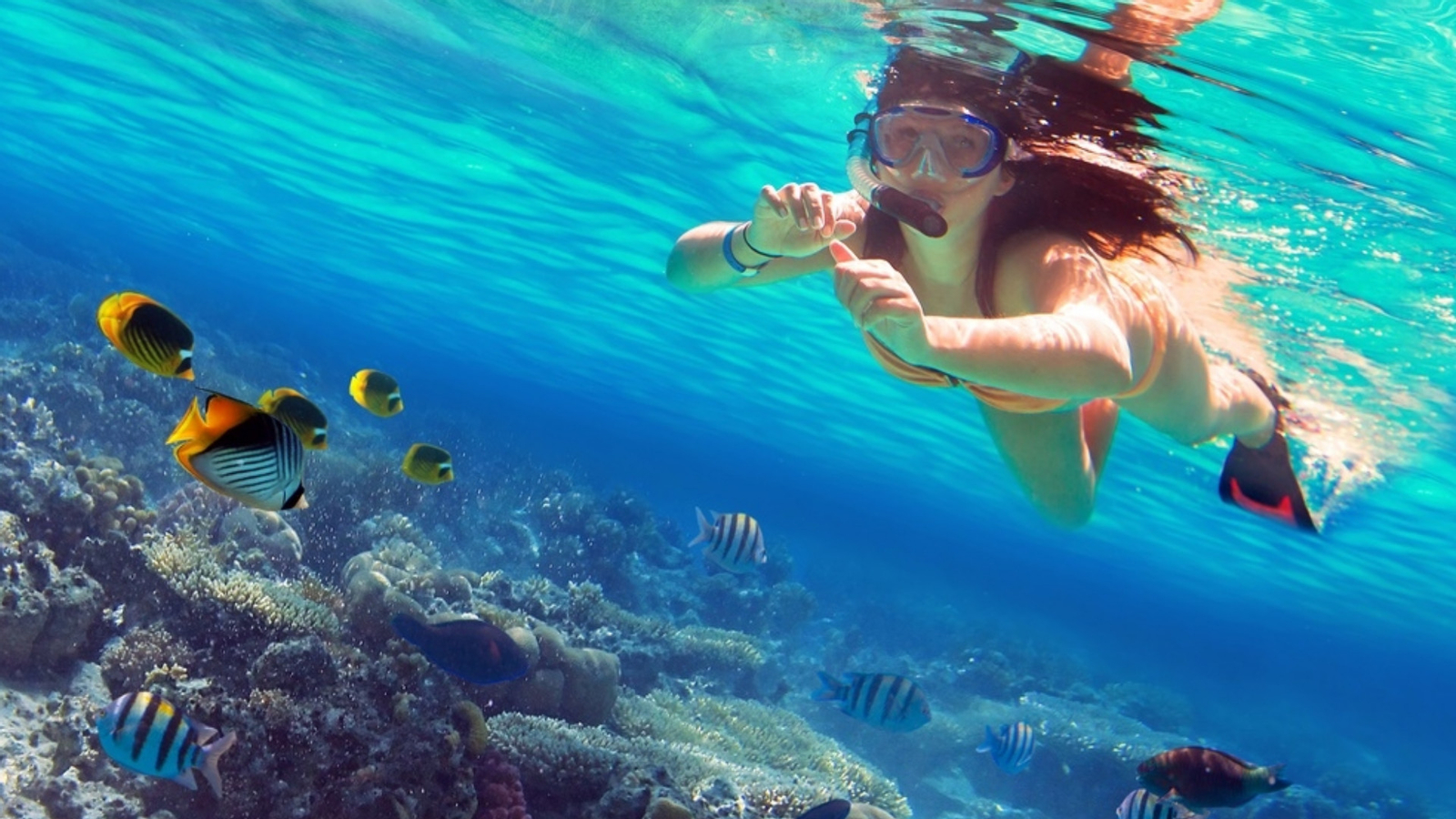 Coral Island Snorkelling Experience in Trincomalee pDpwlgyl