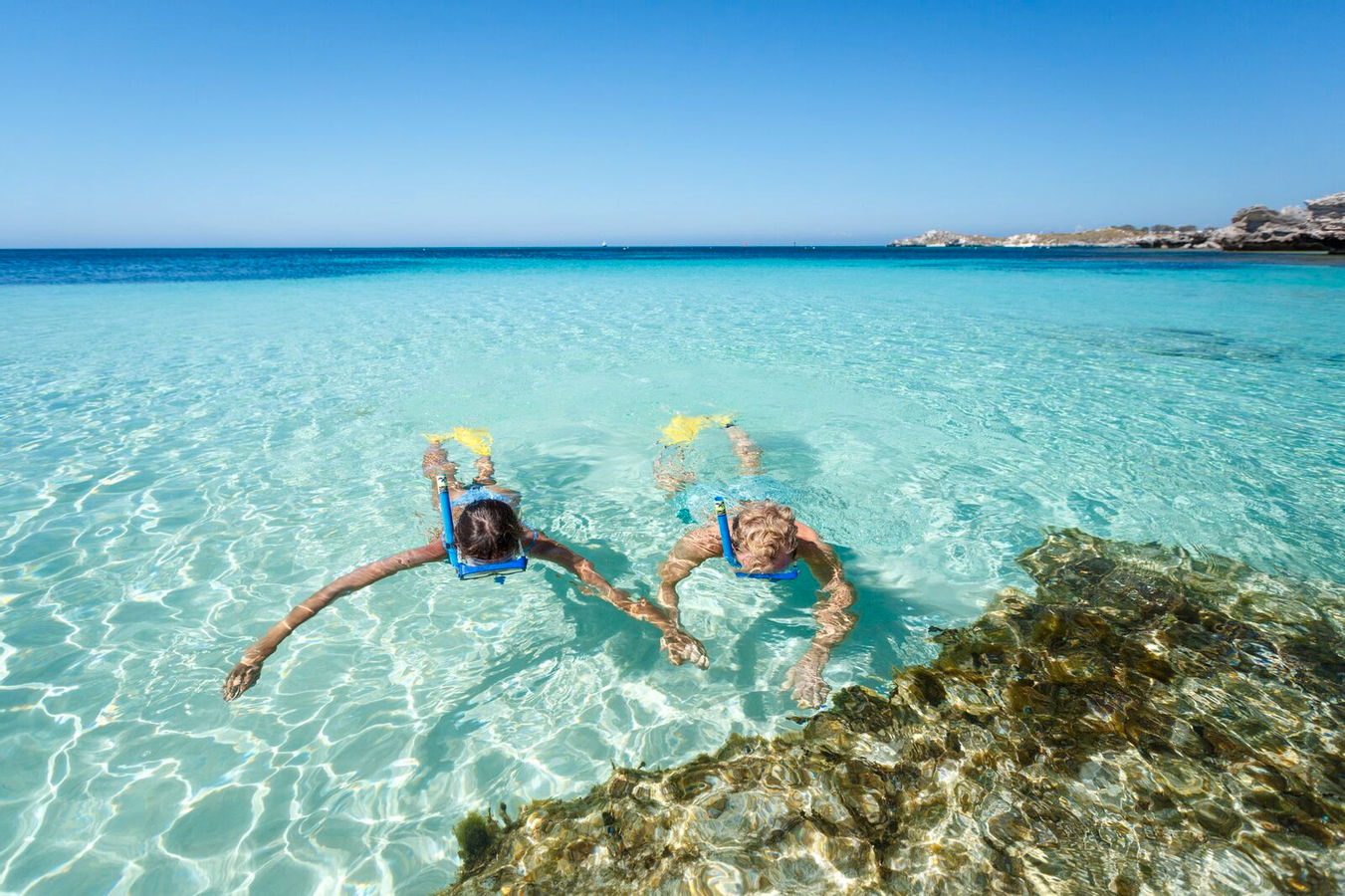 Rottnest Island Iconic Boat Tour from Perth or Fremantle SNyfEftO