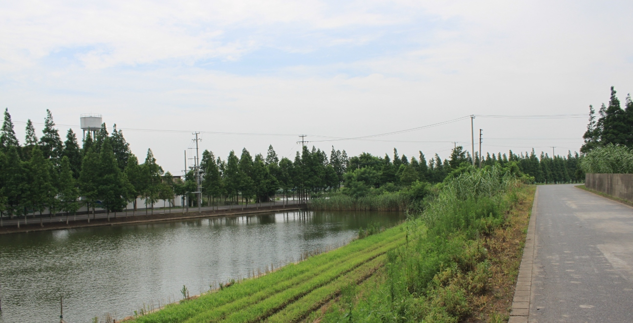 Chongming Island Whole Day Cycling Tour from Shanghai pS3tlH2e-backdrop