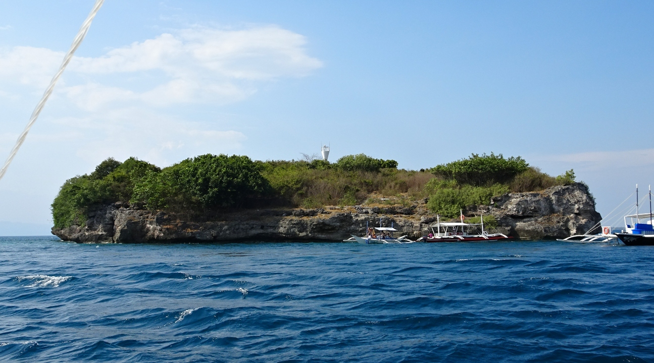 Moalboal Cebu Island Hopping and Canyoneering Experience t8xssdhi
