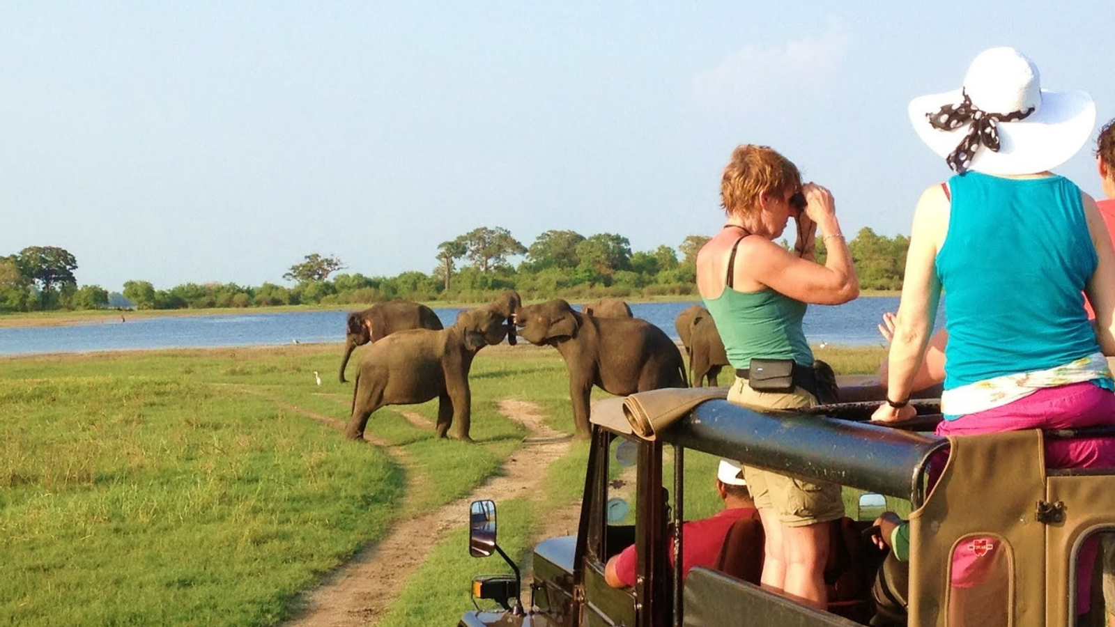 Minneriya National Park Safari Drive from Trincomalee vwz7FgRo-backdrop