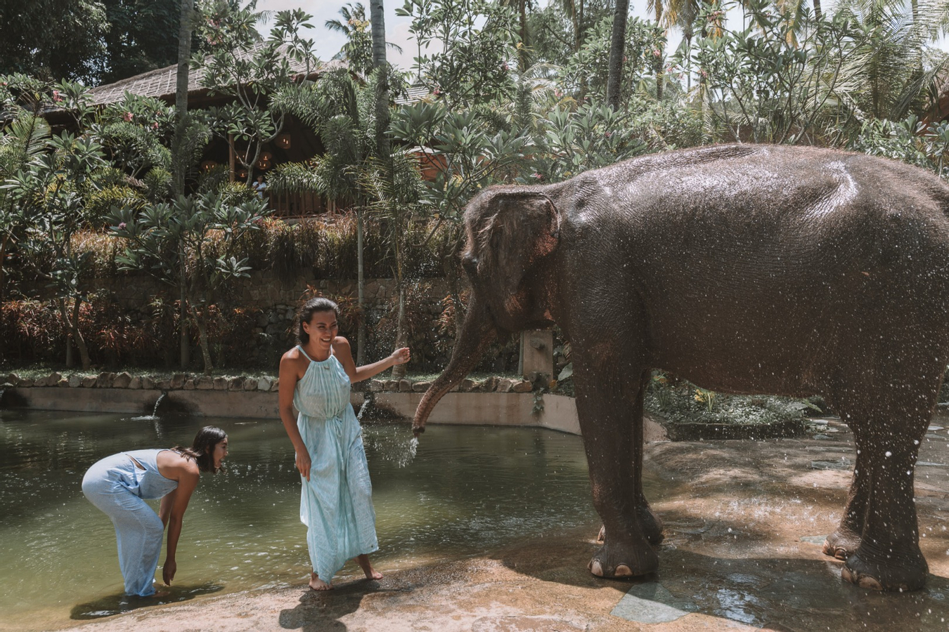 Lombok Wildlife Park Ticket (Foreign Travellers) ZyUGoBlf