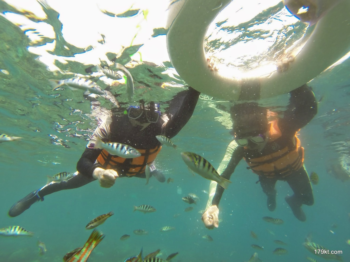 Kenting Car Rental with Driver : National Museum of Marine Biology and Aquarium , Eluanbi Lighthouse (departing from kaohsiung) B9ouUIXZ