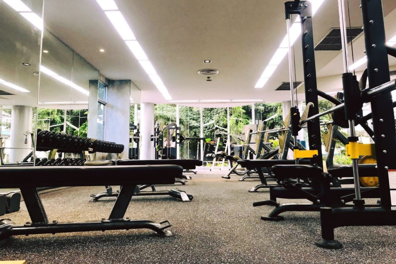 Gym Experience at Leader Performance and Wellness in Bangkok OycaJTrj