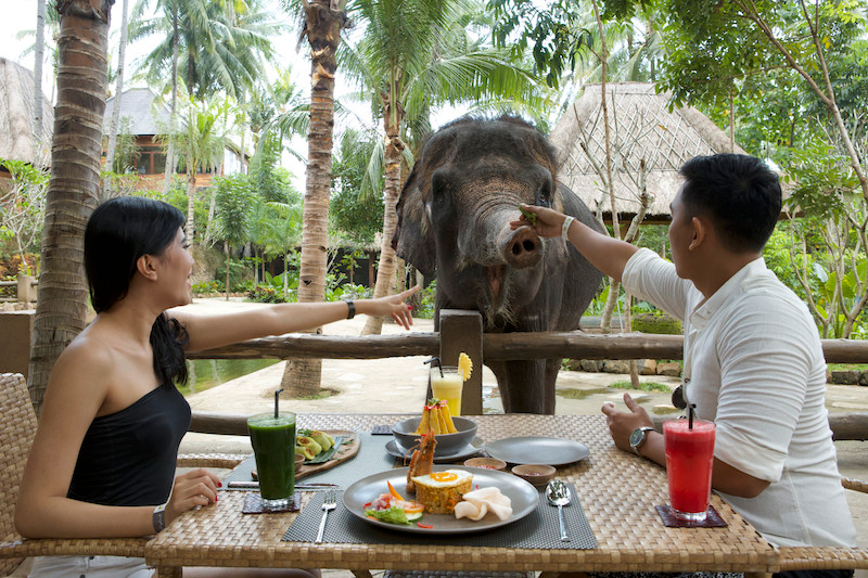 Lombok Wildlife Park Ticket (Foreign Travellers) 9VAETga3-backdrop