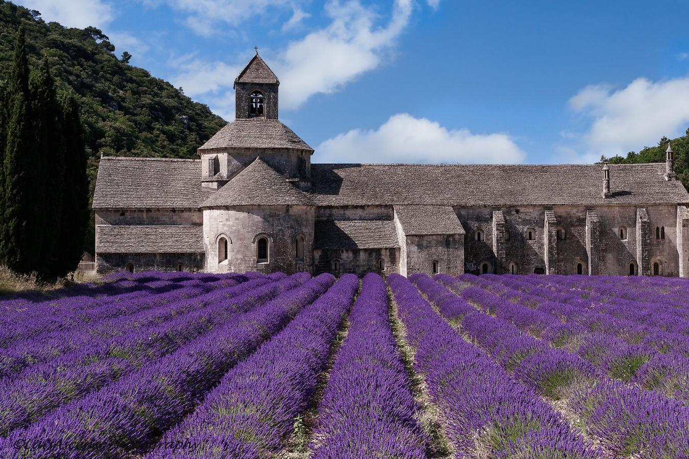 Lavender Full-Day Tour Sault 40p7rs0h