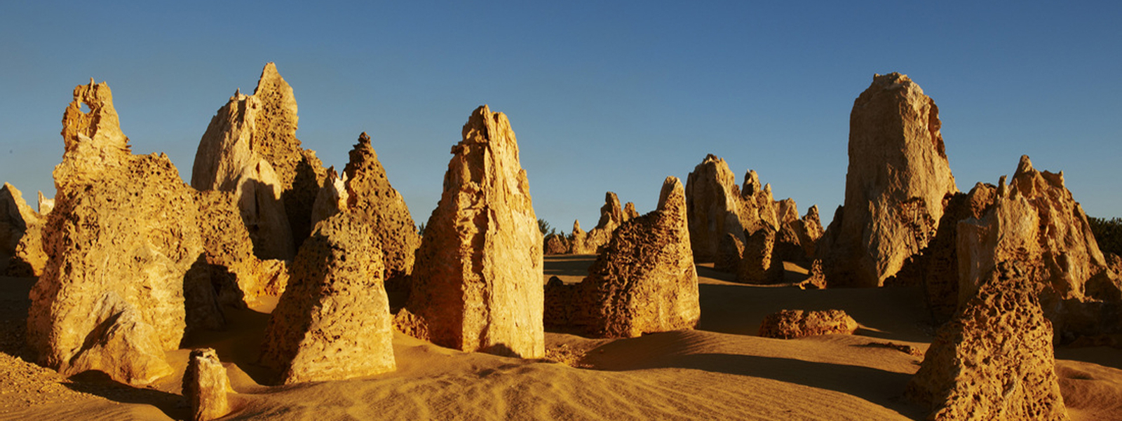 Pinnacles Guided Day Tour from Perth S3rjqfLx