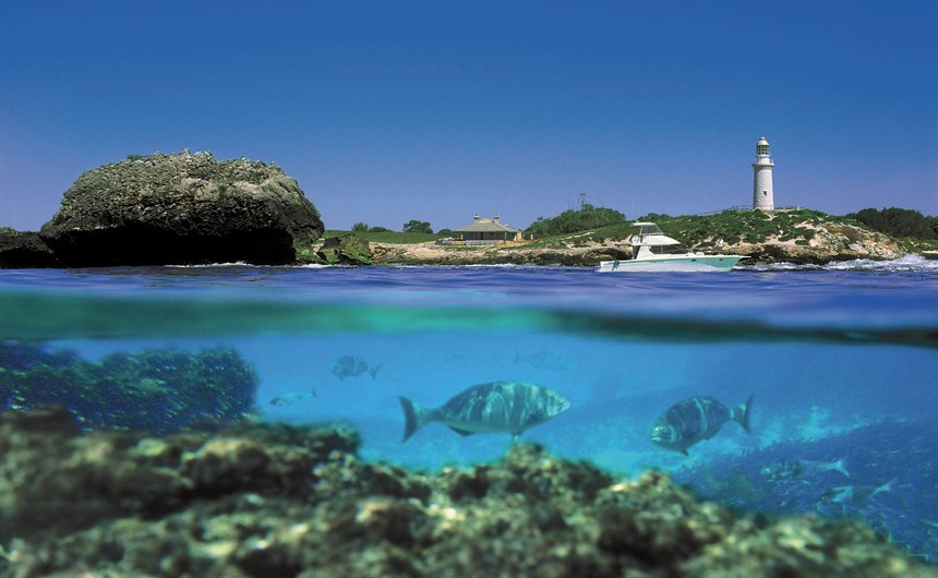 Discover Rottnest Island Ferry and Bus Tour from Perth or Fremantle UiXv0oNh