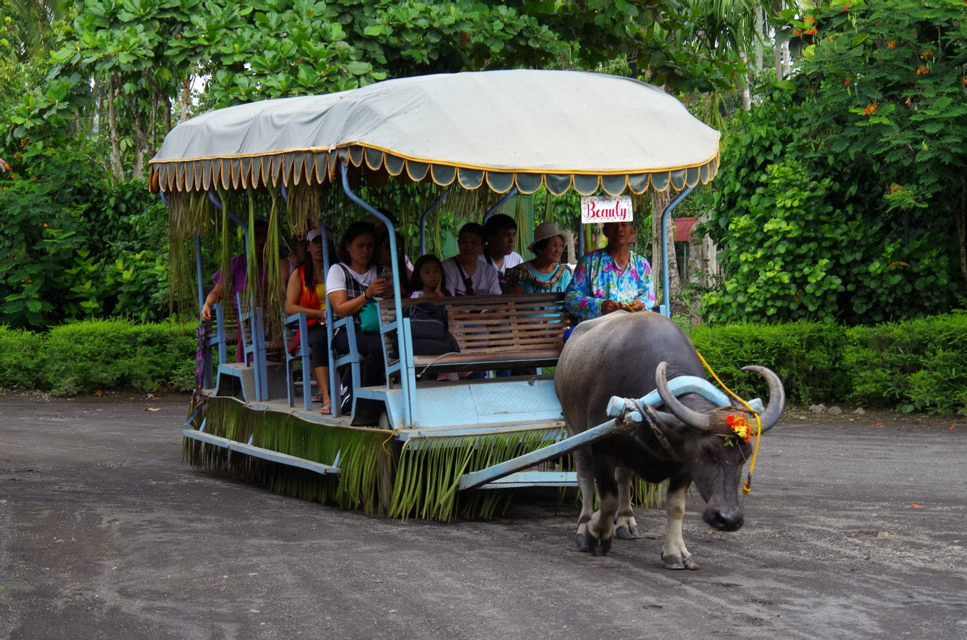 Villa Escudero Day Tour from Manila by Vina Tour (비나투어) p6FtspqM