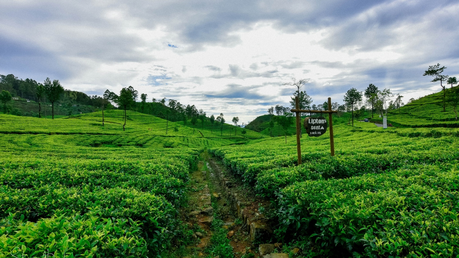 Private Lipton Seat Sunrise, Upper Diyaluma, and Ravana Falls Day Tour from Ella BKaAAxBj-backdrop