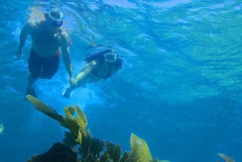 Morning or Afternoon Reef Snorkeling Experience in Key West RDWycQ3Q