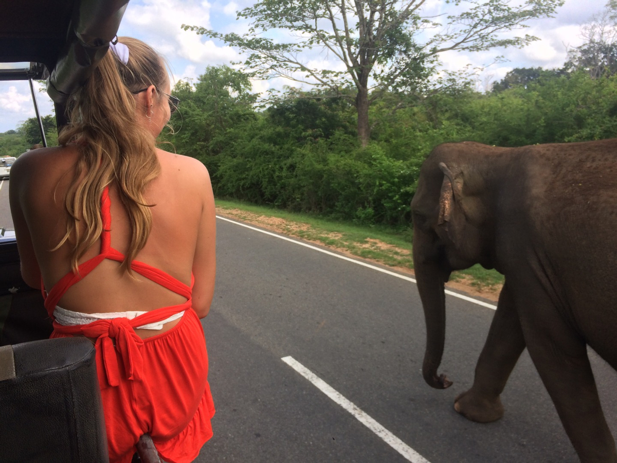Yala National Park Safari Day Tour from Ella bXBz1oc5