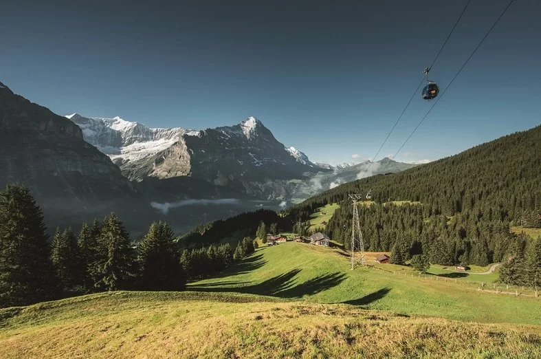 Day Trip to Mount First Top Adventure from Zurich YDY4KWZM-backdrop