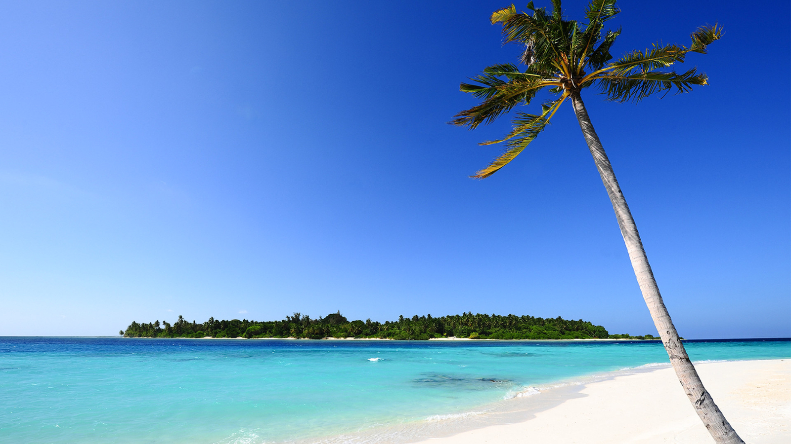 Private Trincomalee Half Day City Tour QohY9a4Z