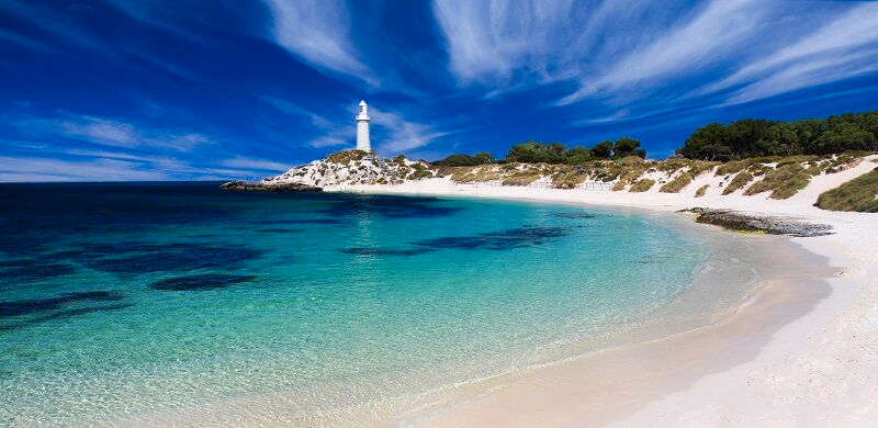 Rottnest Island Iconic Boat Tour from Perth or Fremantle NCbdnjVp