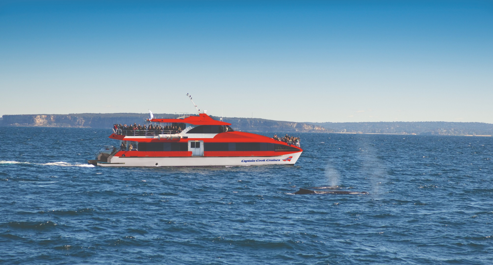 Sydney Whale Watching Cruise by Captain Cook nfgBMtU7