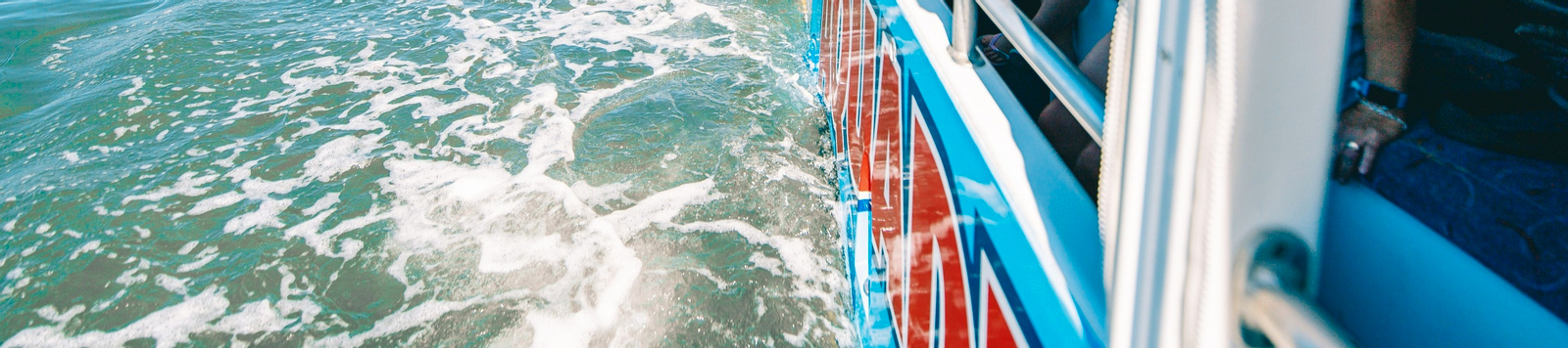 Sunshine Coast Land and Sea Aquaduck Tour p5BUlbLL