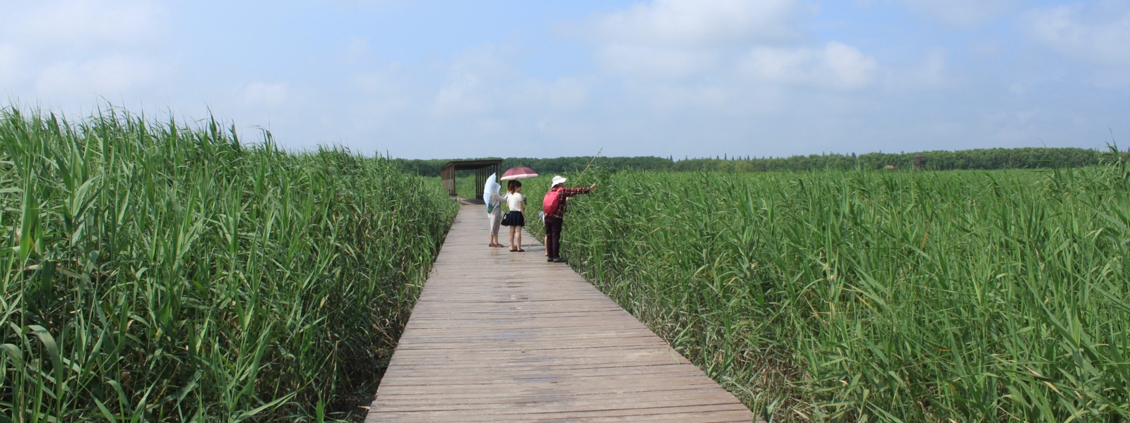 Chongming Island Whole Day Cycling Tour from Shanghai hfvinzHd-backdrop