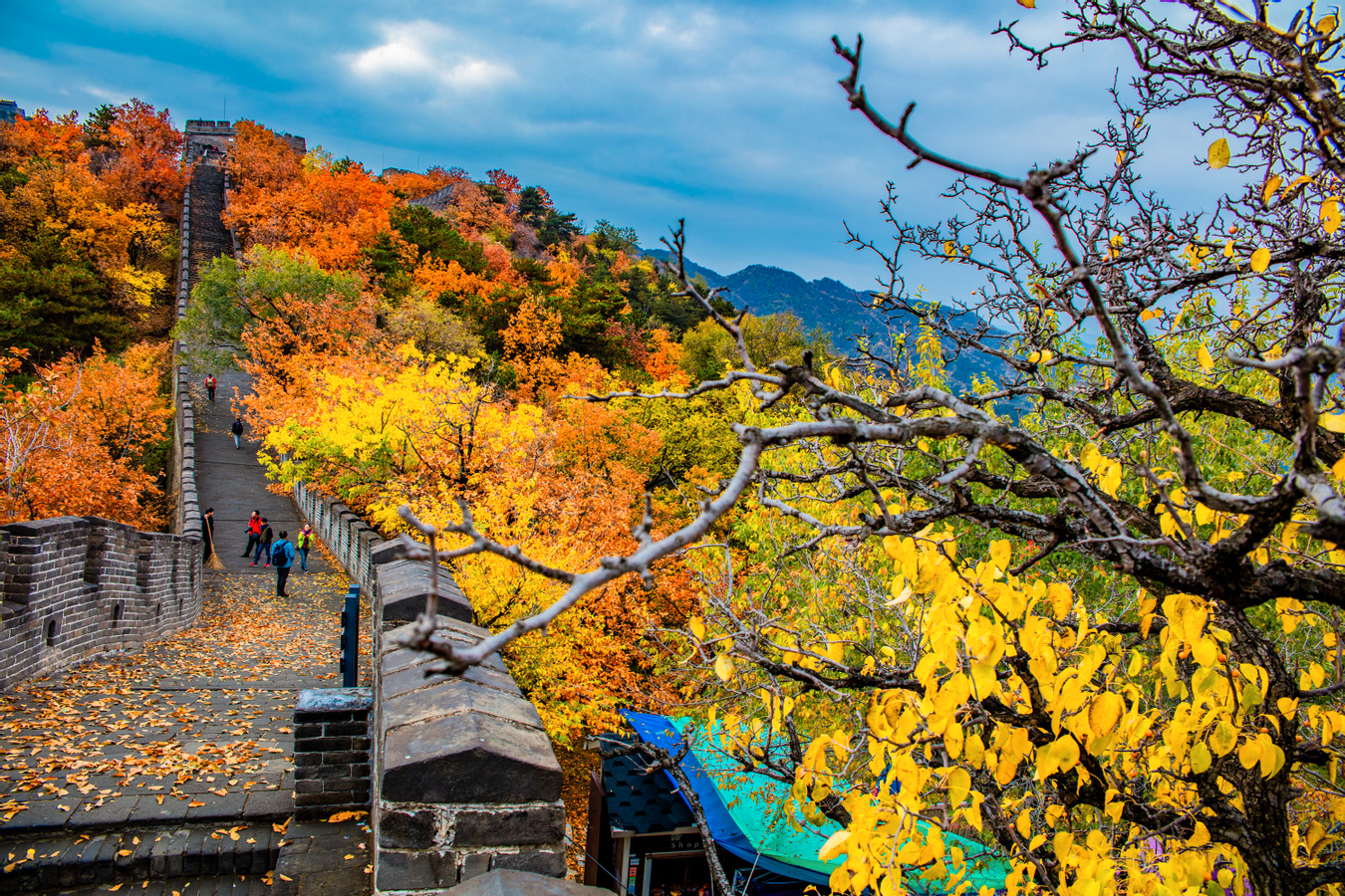 Mutianyu Great Wall Day Tour from Beijing 24MkJ2sC