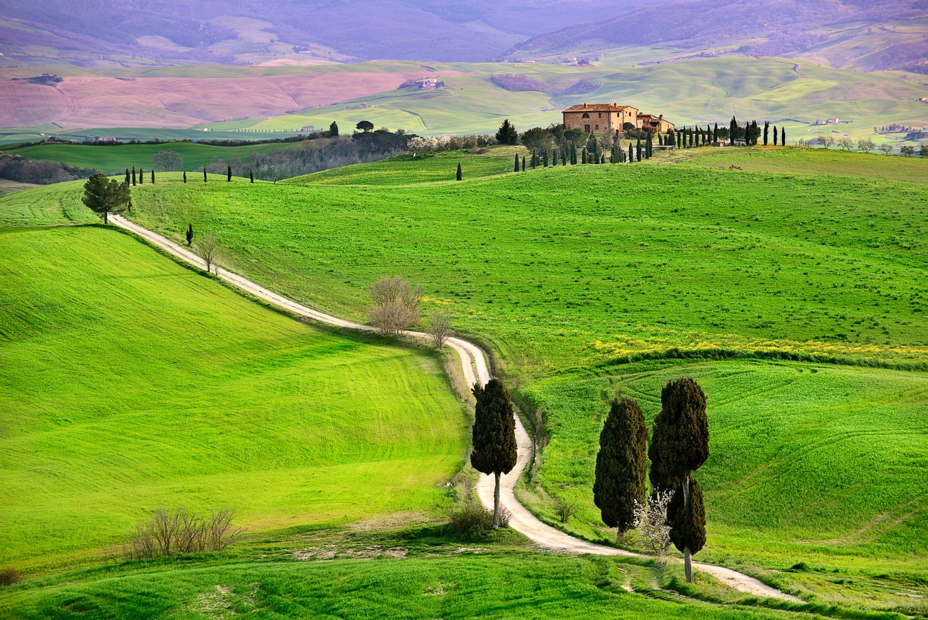 Val d'Orcia Tour from Florence 71Ctkigz