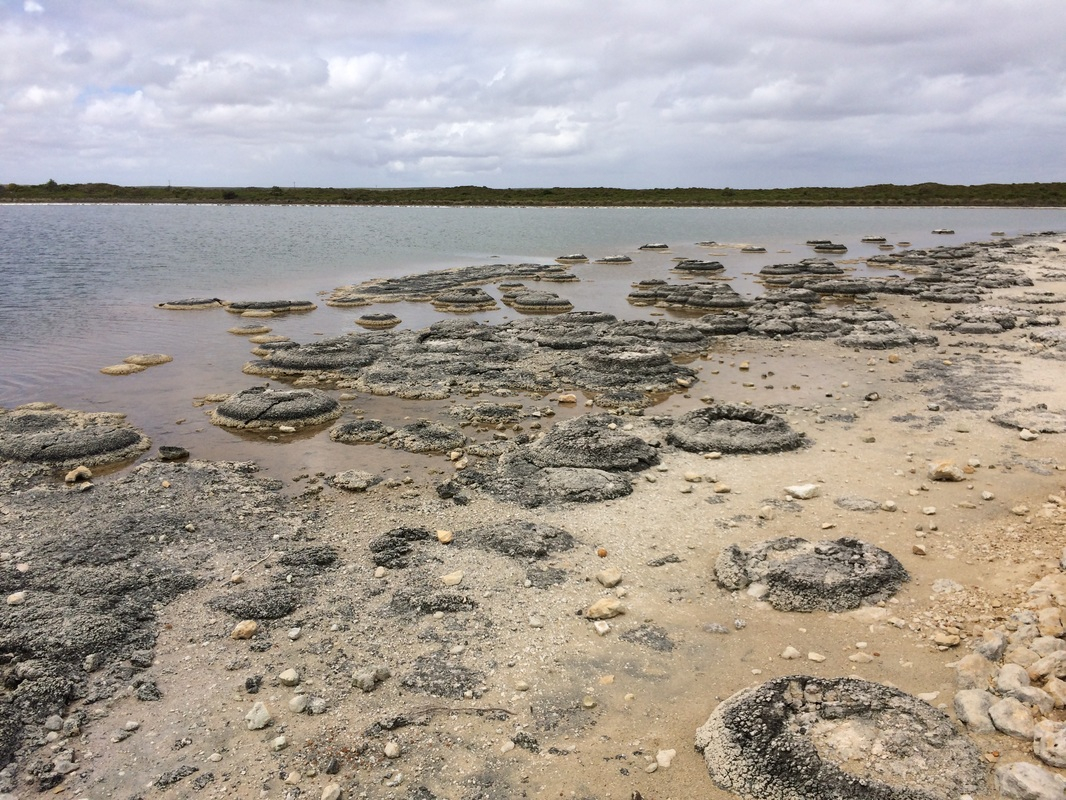 Pinnacles Guided Day Tour from Perth xxkV7nGI