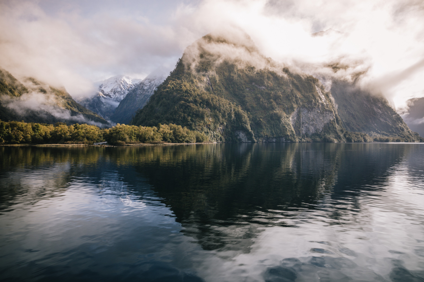 Doubtful Sound Wilderness Cruise Day Tour O2uCdfve