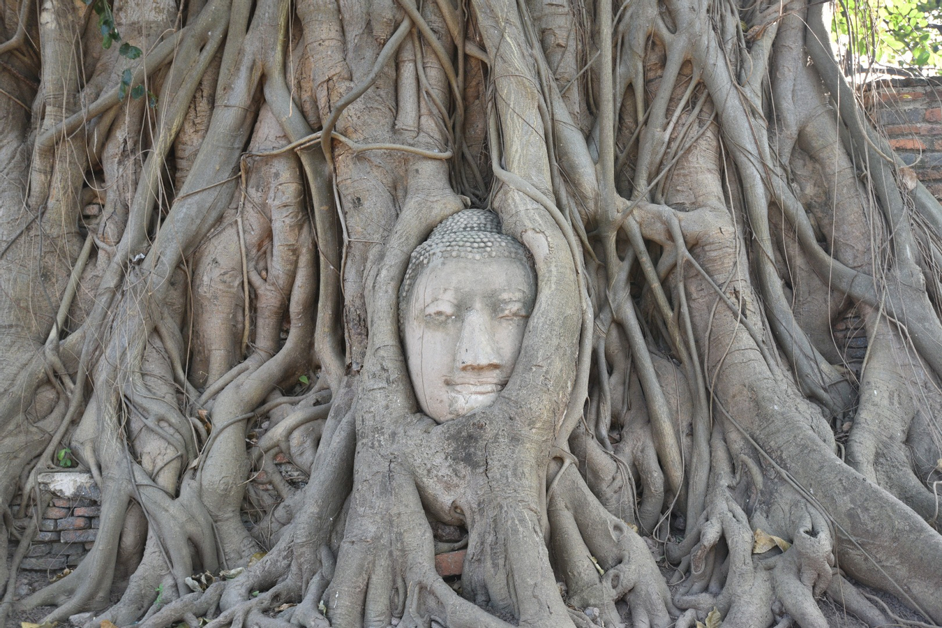 Private Car Charter Ancient Ayutthaya Full Day Tour TG8bpIiU