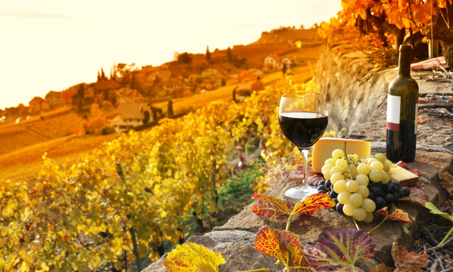 Sunset Siena and Chianti Wine Tour with Dinner from Florence 9JxBoteW-backdrop