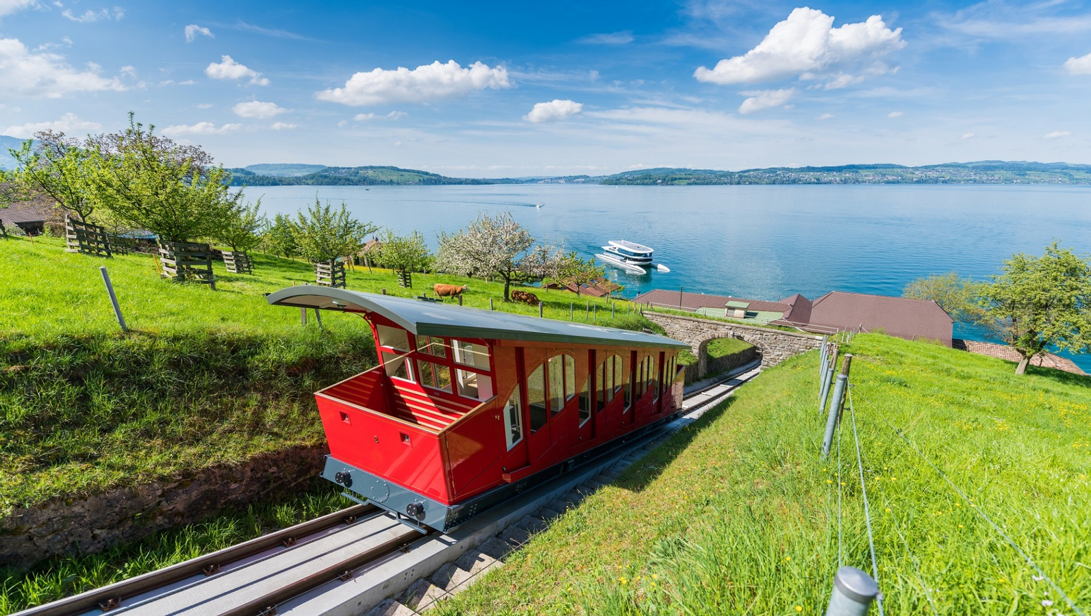 Lucerne and Burgenstock Tour from Zurich L3VXsuPa