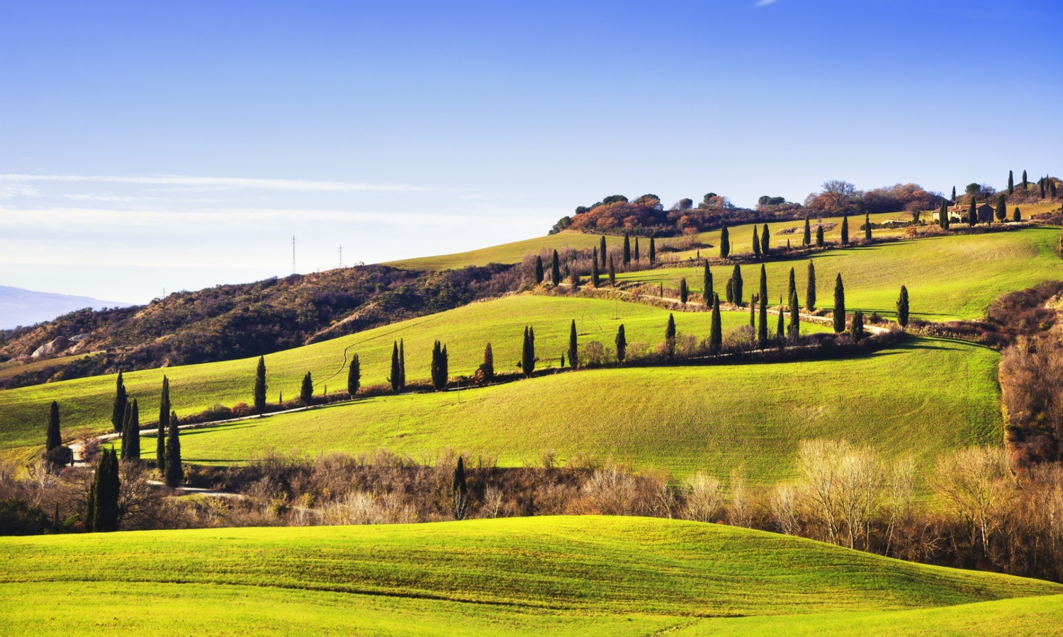Val d'Orcia Tour from Florence 1WF6qNMQ