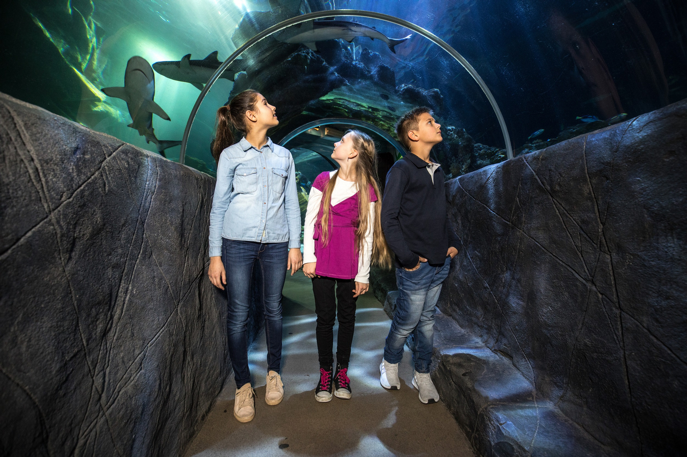 SEA LIFE Munich Admission Ticket vNajNwpy