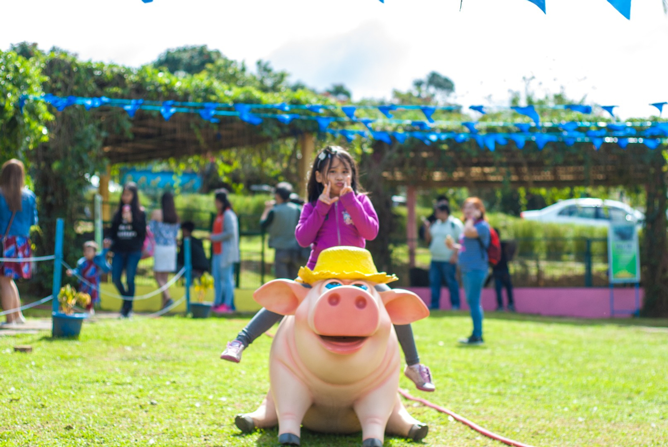 Paradizoo Ticket in Tagaytay KfzFI0lN