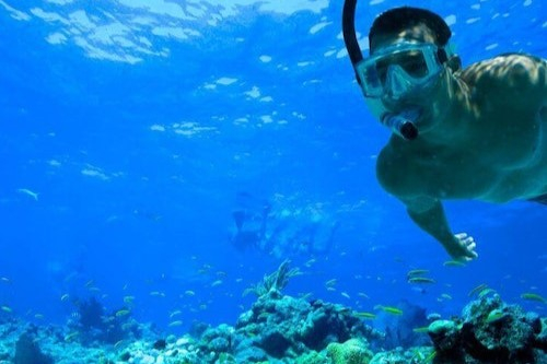 Morning or Afternoon Reef Snorkeling Experience in Key West xCa0WUhh