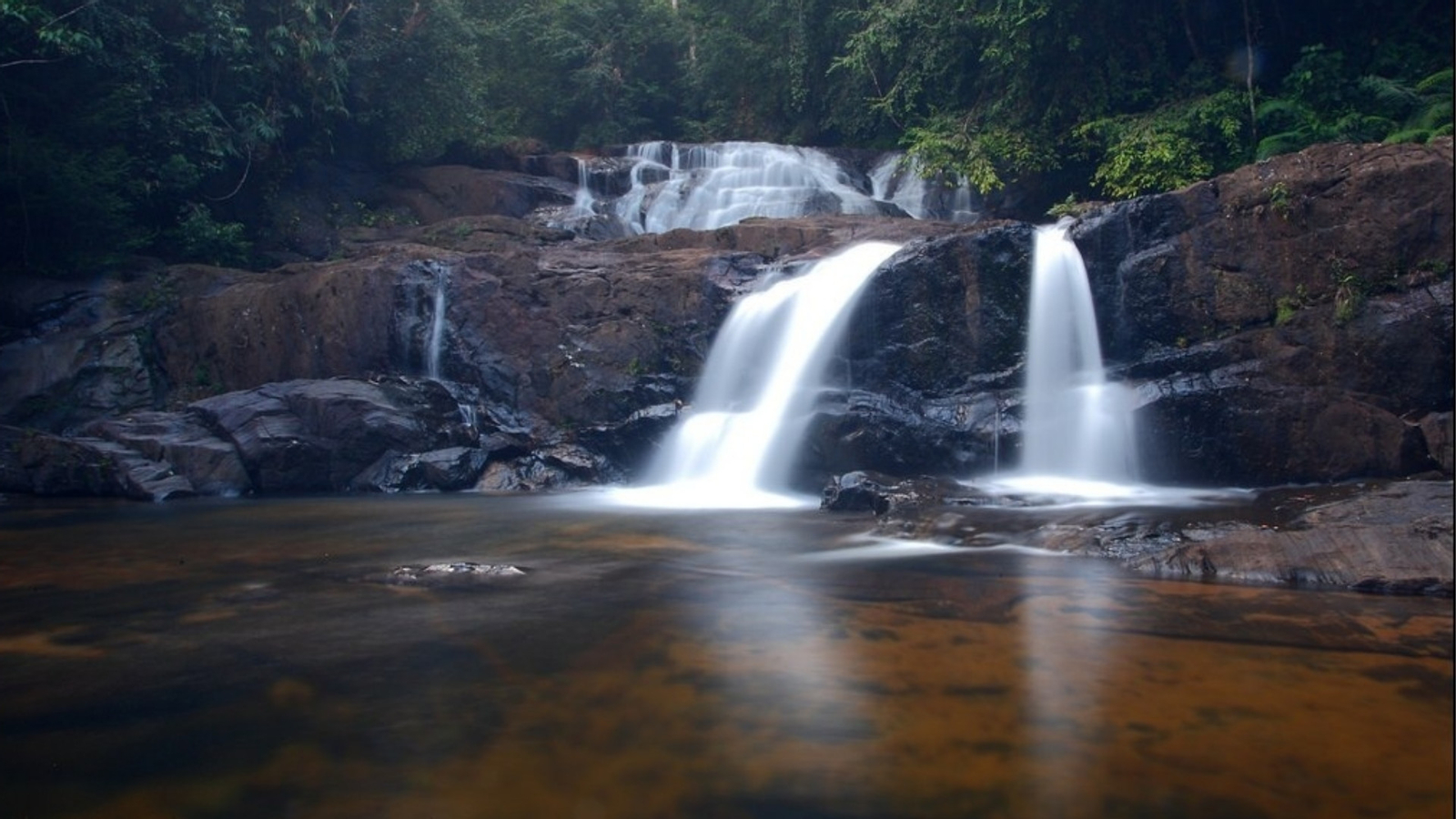 Sinharaja Forest Reserve Hike from Mirissa X1TguxSN