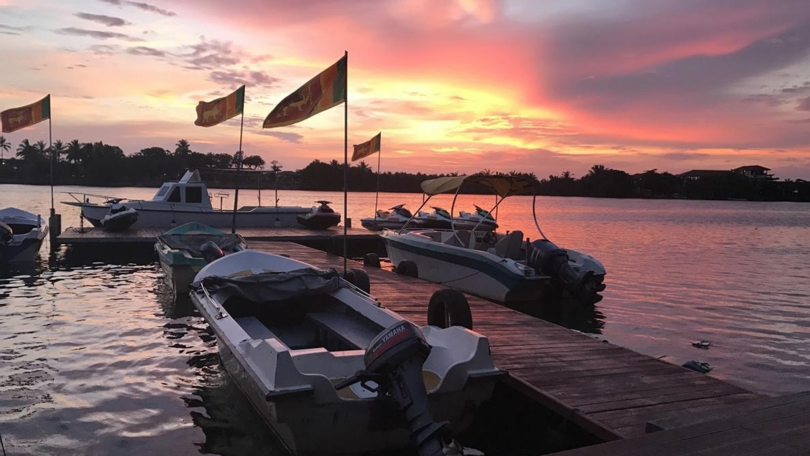 Mangrove River Safari Experience in Bentota Bbx12UCr