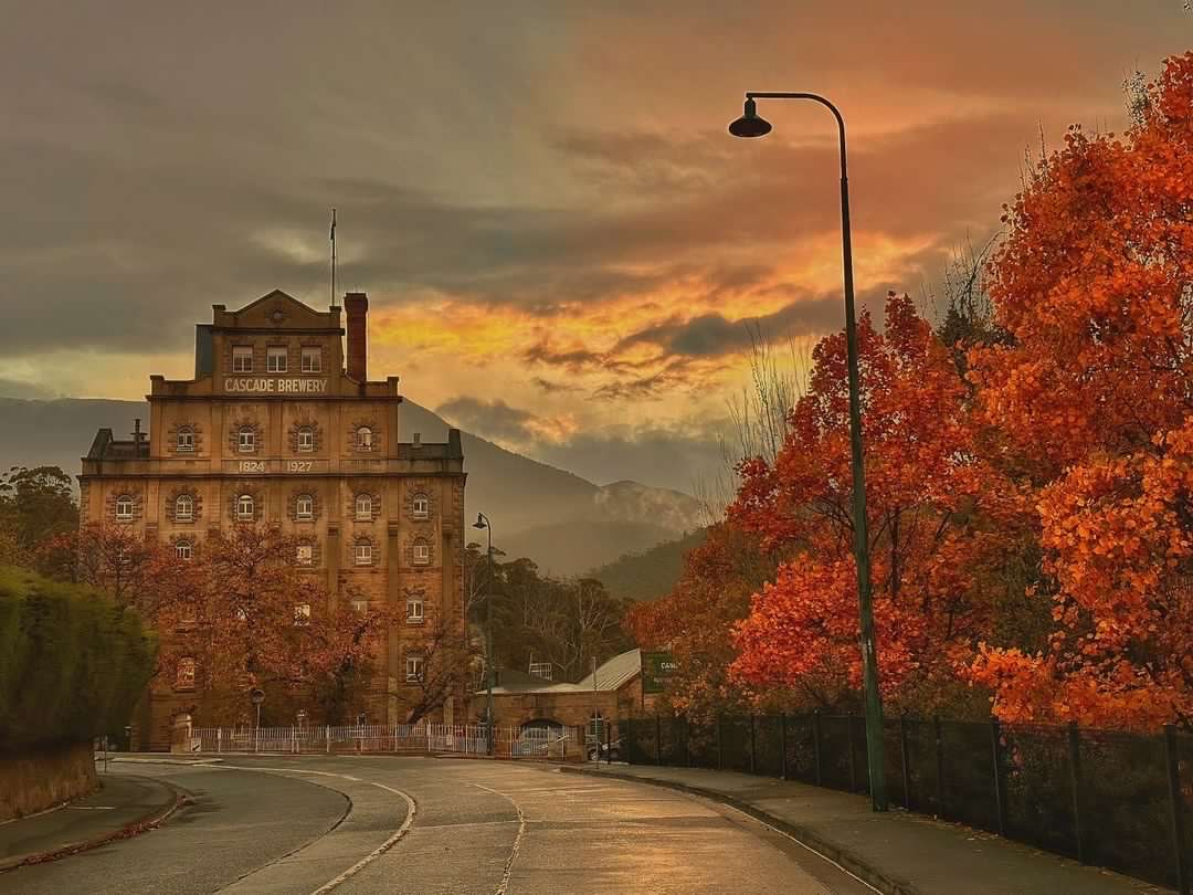 3D Tasmanian Highlight Tour: Hobart, Port Arthur, & Bruny Island IwPcqU8R