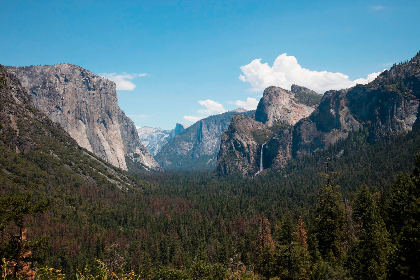 6D5N Gold Experience Tour from San Francisco xMSjQgOp