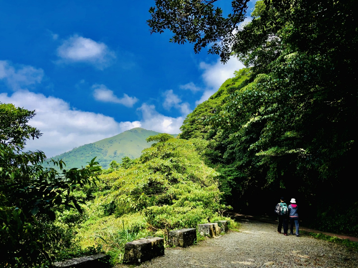 Yangmingshan Car Rental with Driver: Small Oil Pit ,Bamboo Lake ,Hot Spring Valley (Departing from Taipei) U5D8olQt