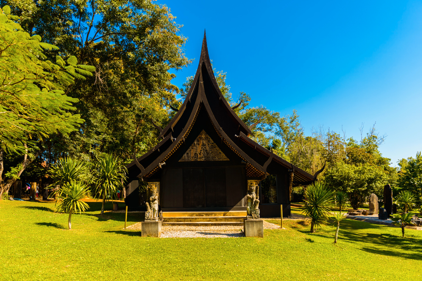 Chiang Rai White, Blue Temple, Black House Museum, Hot Spring Tour ...