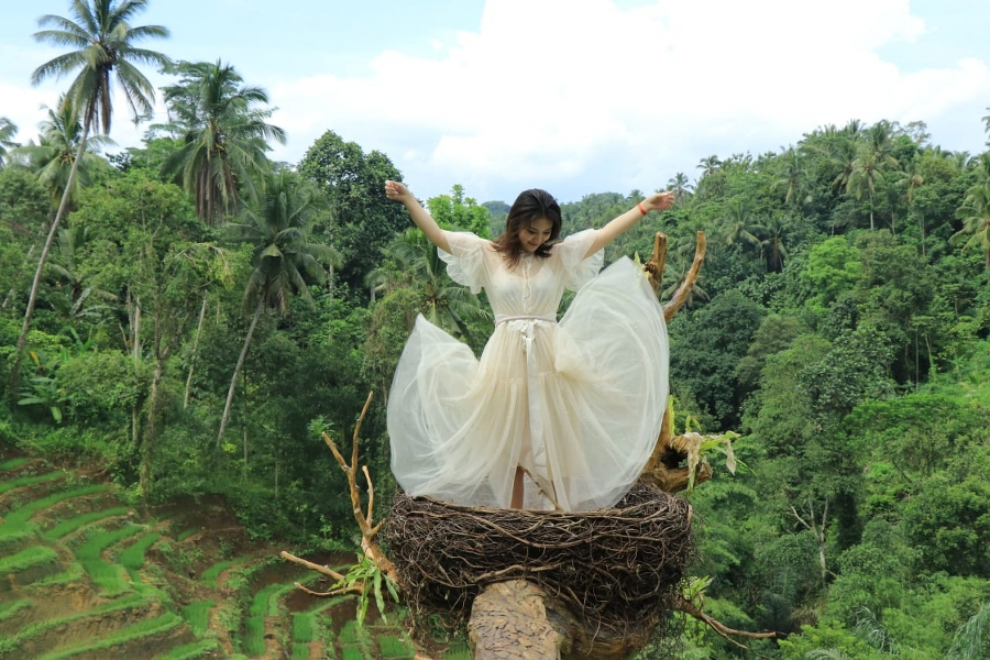 Aloha Swing Ubud Ticket in Bali SPKzowv9
