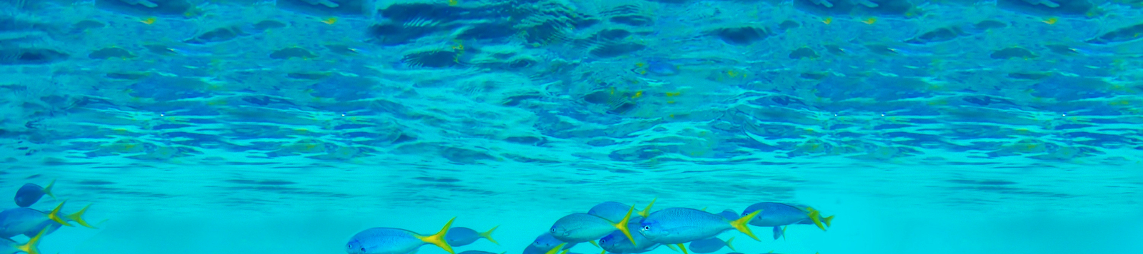 Underwater Hotel in the Great Barrier Reef, 2 Days 1 Night Xxn4230z