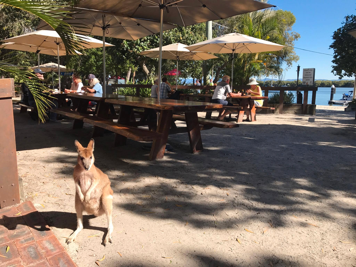 Jet Ski Safari and Island Tour on the Gold Coast QDyS8apX