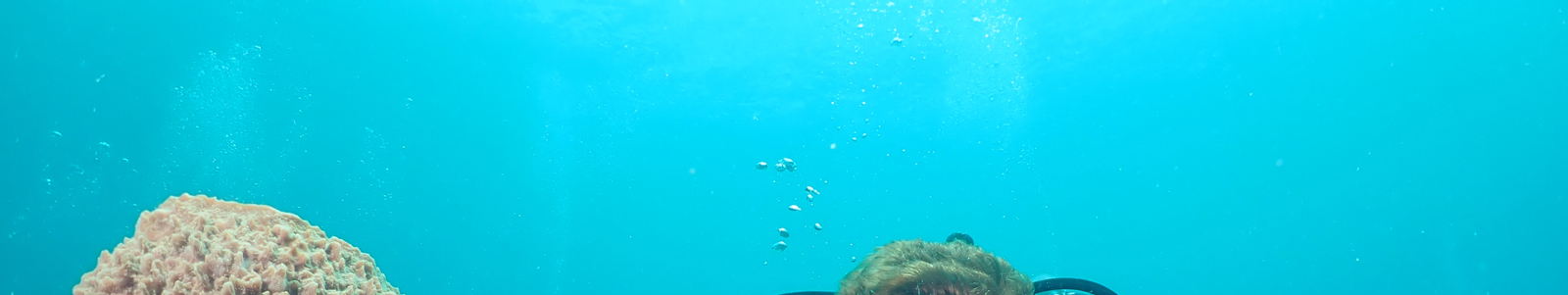 Koh Tao Beginner Scuba Experience with PADI 5 Star center 8fVVAIeY