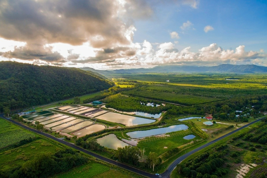 Pond Fishing and Farm Experience in Cairns e4SXgcLb